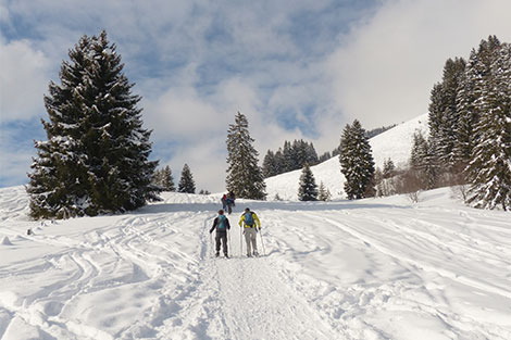 Personen, ausgestattet mit Schneeschuhen gehen einen Winterwanderweg entlang.