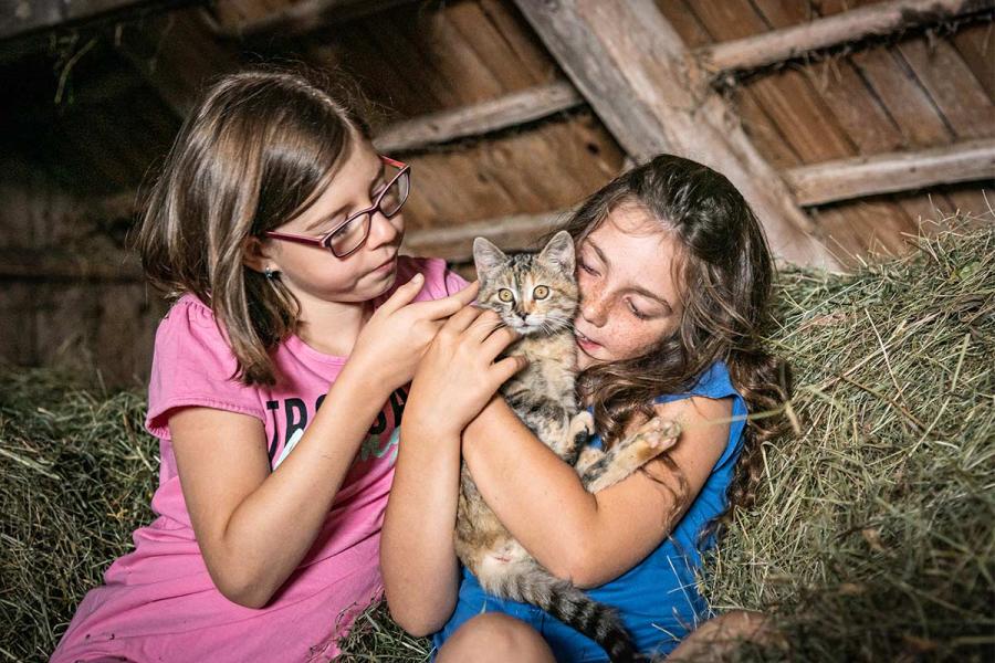 Zwei Mädchen auf dem Heuboden mit einer Katze