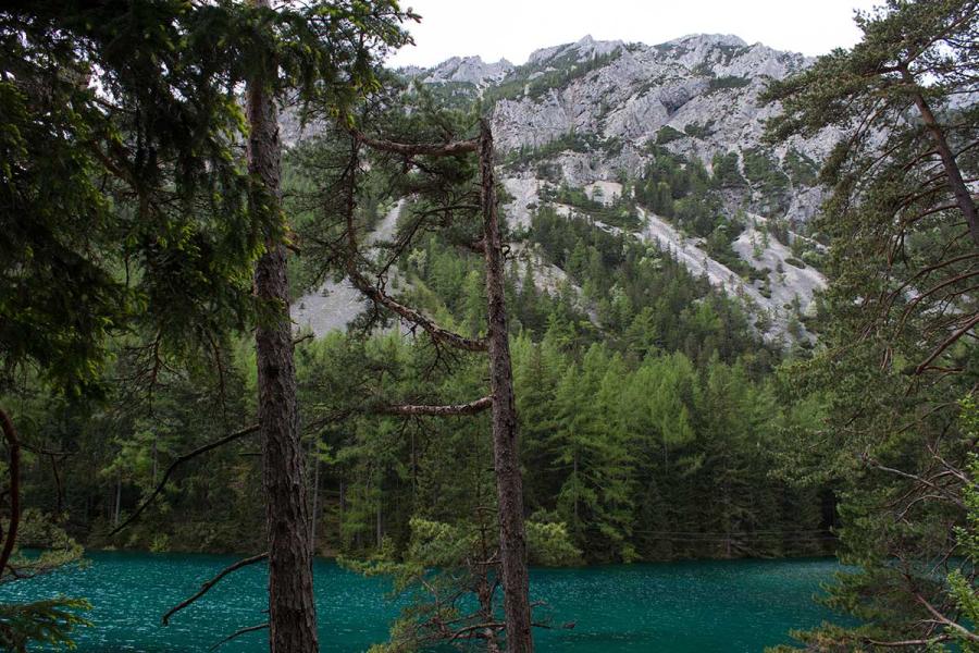 Blick auf den Grünen See 