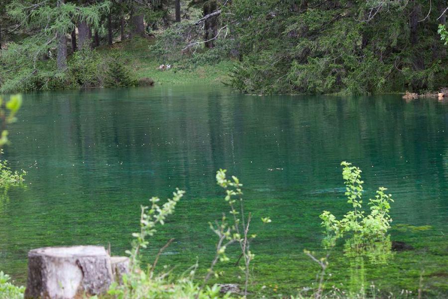 Das Wasser des Grünen Sees