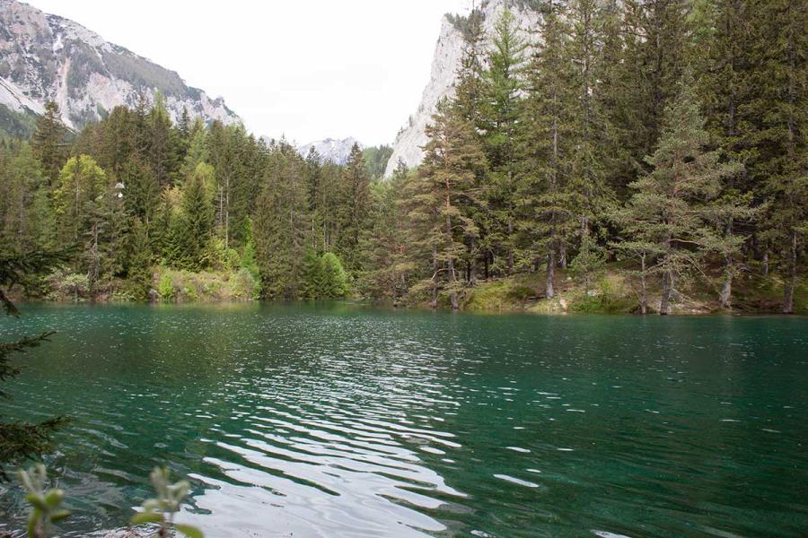 Grüner See - Blick auf die Wasseroberfläche