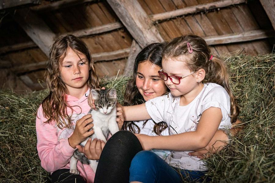 Drei Mädchen streicheln eine Katzen am Heuboden