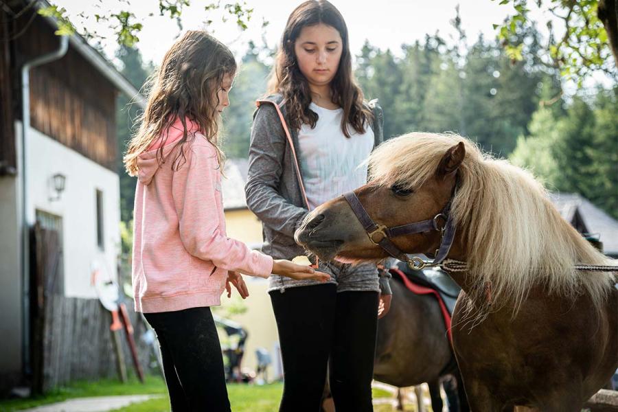 Zwei Mädchen streicheln und füttern ein Pony