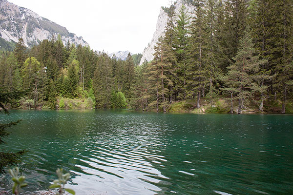 Blick auf den den Grünen See in Tragöß
