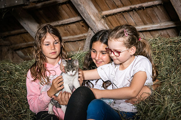 Drei Mädchen am Heuboden - sitzend im Heu und streicheln gerade eine Baby-Katze.