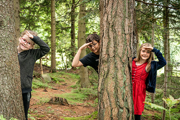 Kinder im Wald - sie schauen bei den dicken Baumstämmen hervor.