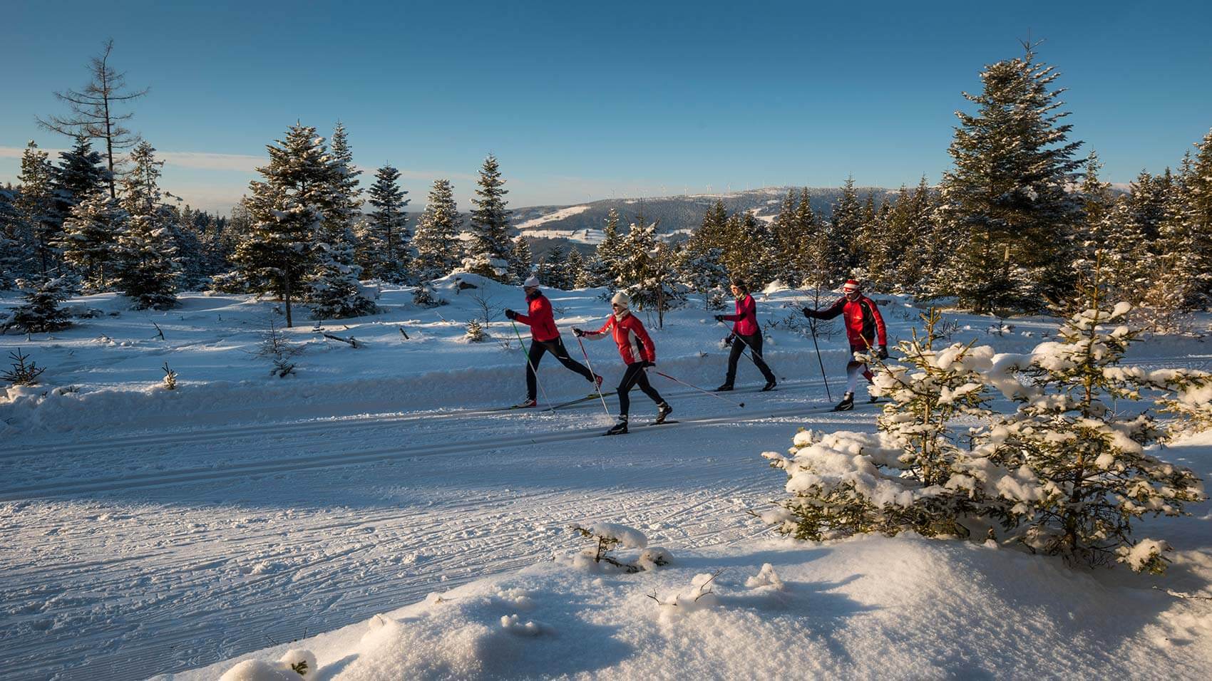 Vier Längläufer sind unterwegs auf der Loipe, weiters Blick auf die verschneiten Bäume und herrliches Panorama im Hintergrund