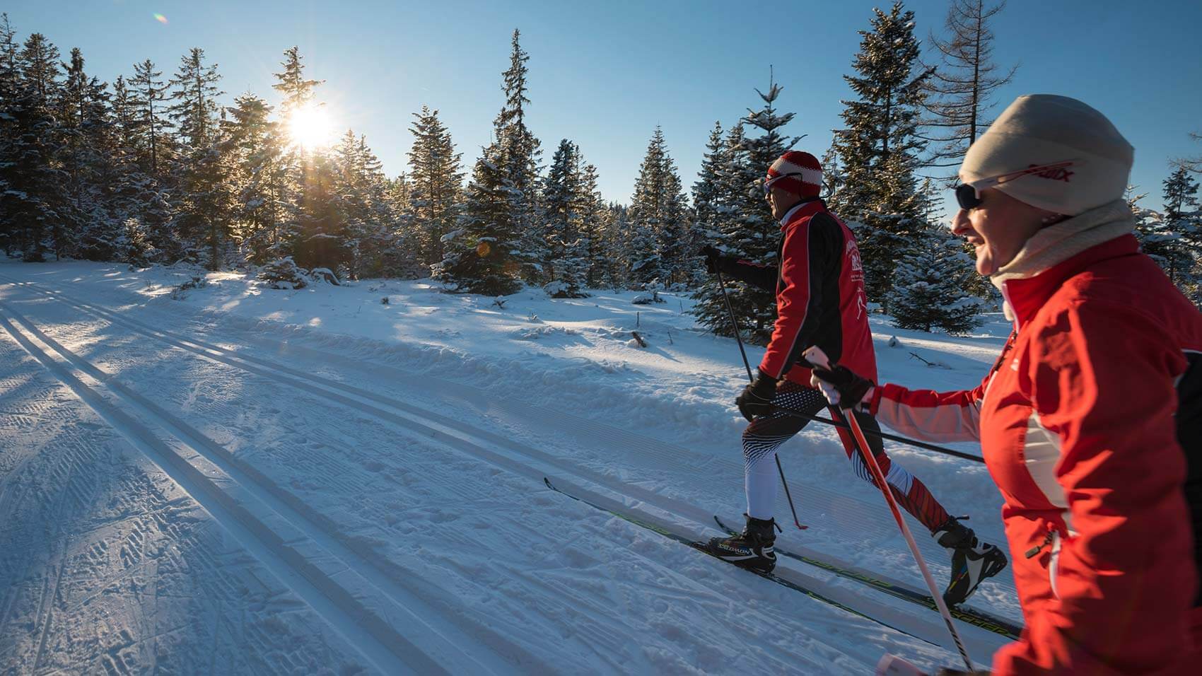 Zwei Langläufer sind unterwegs auf der Loipe - perfekte Spur und verschneite Fichten im Sonnenlicht