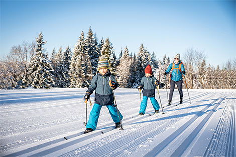 Drei Leute lernen gerade das Langlaufen auf der Loipe. Im Hintergrund sind verschneite Tannenwälder zu sehen.